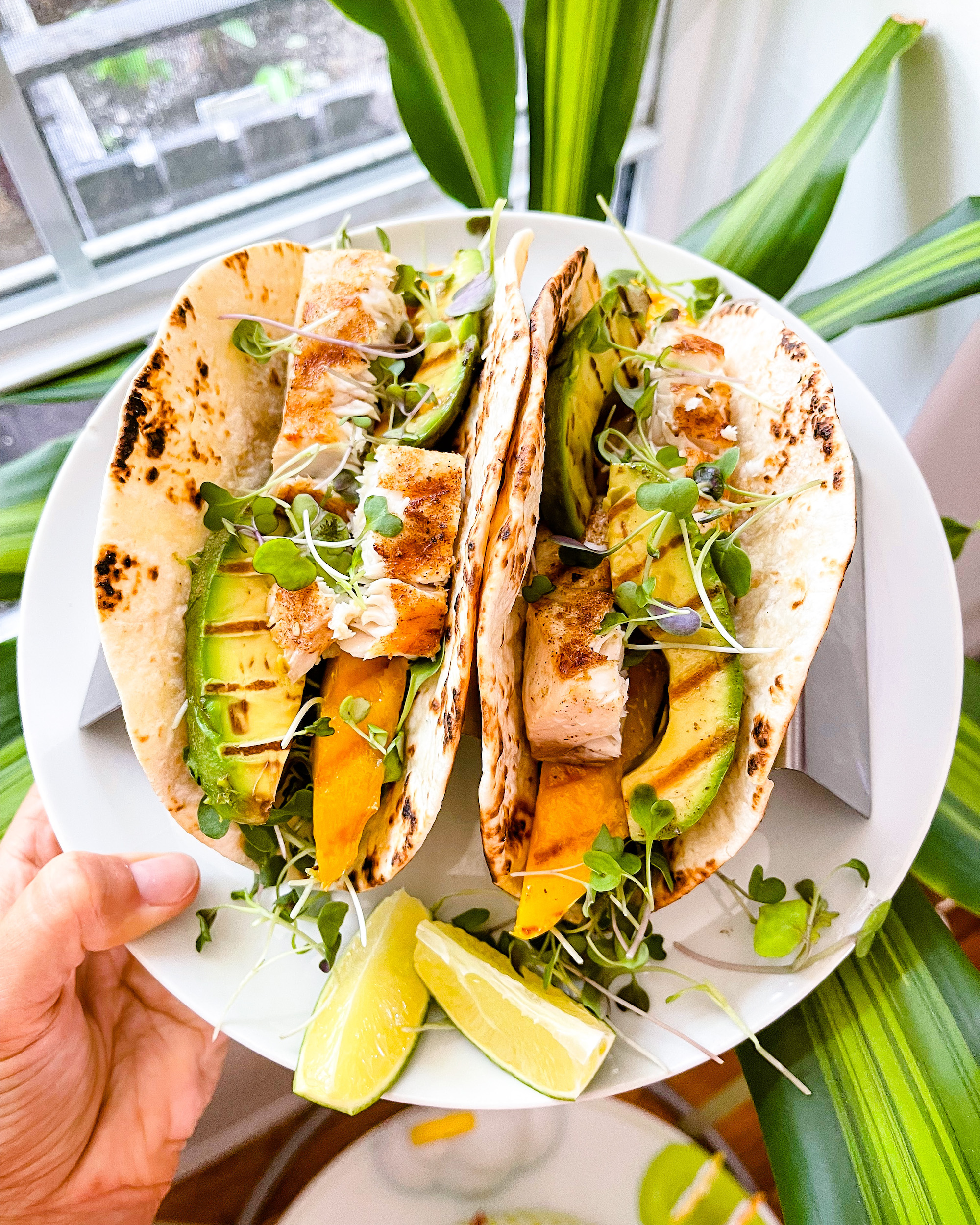 Dutch Yellowtail Tacos with Grilled Mango and Avocado