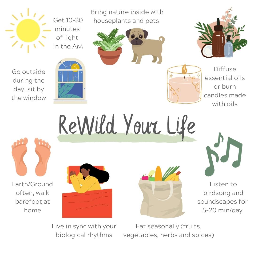 Graphics of how to rewild including plants, pets, birdsong, essential oils, grounding, getting sunshine and eatin seasonally