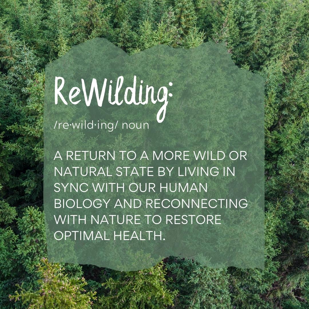 Definition of rewilding with a background of trees